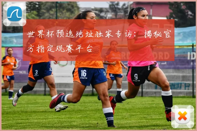 世界杯预选地址独家专访:揭秘官方指定观赛平台