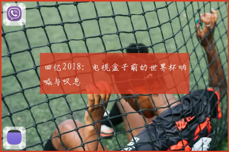 回忆2018:电视盒子前的世界杯呐喊与叹息