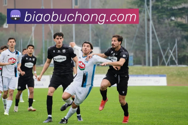 k1体育app官网登录服务体系